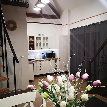 Dráchovský A Vejminek Casa di campagna